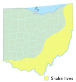 Ohio black racer map