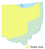 Blue Racer Ohio Map