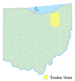 Map showing range of the Brahming snake in Ohio
