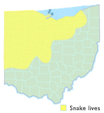 Map showing the range of this snake in Ohio