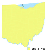Common garter snake range map in Ohio