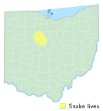 Eastern plains garter snake range in Ohio