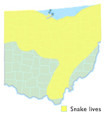 Eastern Ribbon Snake Ohio Map