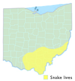 Eastern Worm Snake Ohio Map
