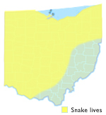 Map showing this snake's range in Ohio