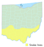 Midwest Worm Snake Ohio Map