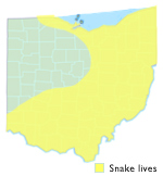 Northern Ring-Necked Snake Ohio Map