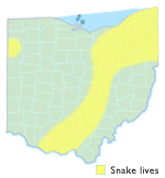 Northern Red-Bellied Snake Ohio Map