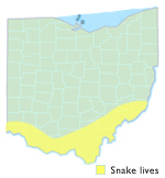 Rough Green Snake Ohio Map