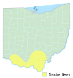 Map showing the range of this snake in the south of Ohio