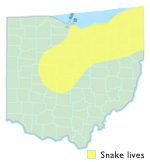 Eastern Smooth Green Snake Ohio Map