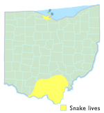 Ohio map of timber rattler range