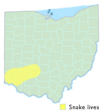 Western Smooth Green Snake Ohio Map
