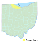 Map showing the range of the fox snake in Ohio